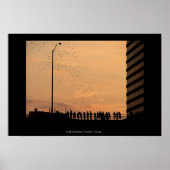 Die Fledermäuse von Austin Poster (Vorne)