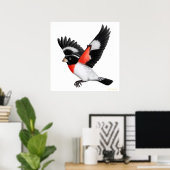 Die fliegende Rose brach das Grosbeak-Poster Poster (Heimbüro)