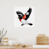 Die fliegende Rose brach das Grosbeak-Poster Poster (Küche)