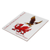 Die Fliese des Waliser-Amerikanischen Kollektors (Seite)