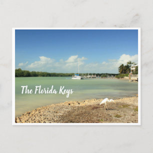 Die Florida Keys Foto Szene mit Schiff und Vogel Postkarte