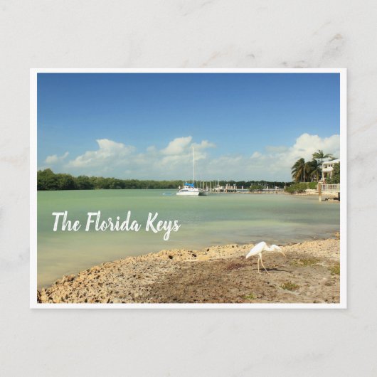 Die Florida Keys Foto Szene mit Schiff und Vogel Postkarte (Vorderseite)