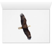 Die Flucht über den Mond (Innenansicht Horizontal (Unten))