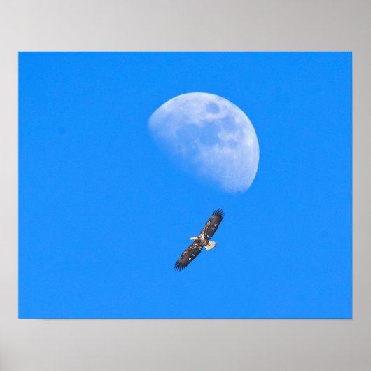 Die Flucht über den Mond Poster (Vorne)