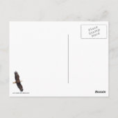 Die Flucht über den Mond Postkarte (Rückseite)
