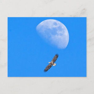 Die Flucht über den Mond Postkarte