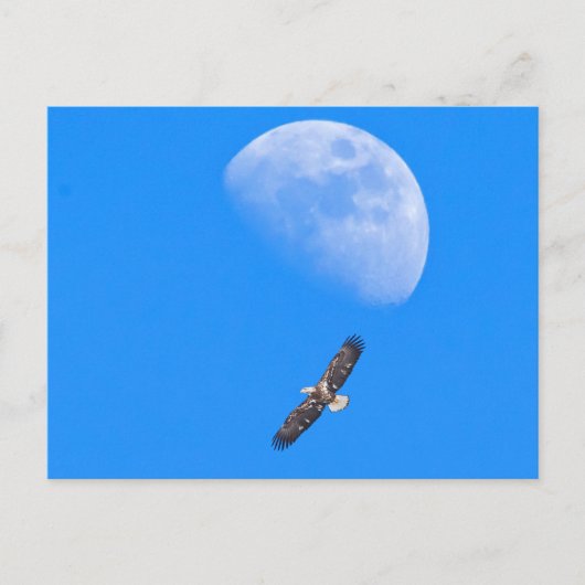 Die Flucht über den Mond Postkarte (Vorderseite)