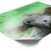 Die Flüchtige Blicke über den Zaun steuern Fotodruck (Ecke)