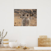 Die Fluffernutter-Kollektion - Daydreaming Poster (Küche)