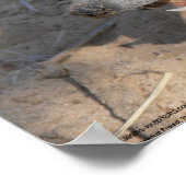 Die Fluffernutter-Kollektion - Essen Poster (Ecke)