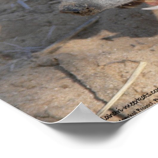 Die Fluffernutter-Kollektion - Essen Poster (Ecke)