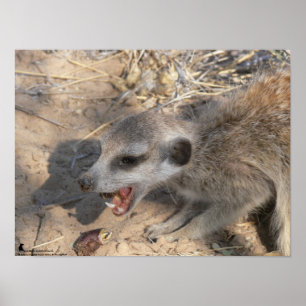 Die Fluffernutter-Kollektion - Essen Poster