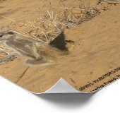 Die Fluffernutter-Kollektion - Familie Poster (Ecke)