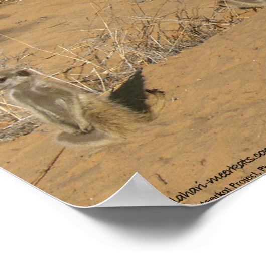 Die Fluffernutter-Kollektion - Familie Poster (Ecke)