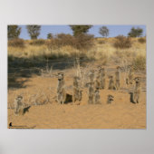 Die Fluffernutter-Kollektion - Familie Poster (Vorne)