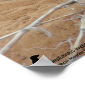 Die Fluffernutter Kollektion - Lächeln Poster (Ecke)