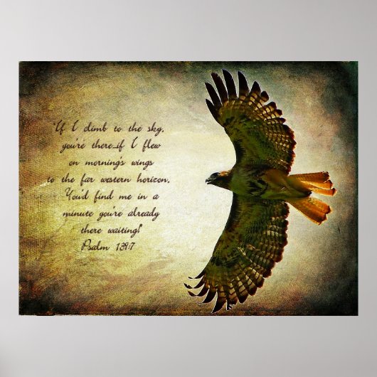 Die Flügel des Morgenplakats Poster (Vorne)