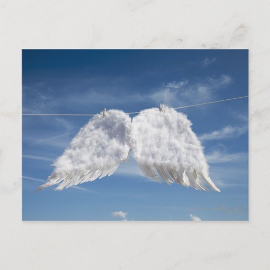 Die Flügel des Trockenen Engels. Postkarte (Vorderseite)