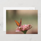 Die Flügel — Schmetterlingspostkarte Postkarte (Vorne/Hinten)