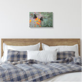 Die Fotografie-Leinwand von Blue Monarch Pair Butt Leinwanddruck (Insitu (Schlafzimmer))