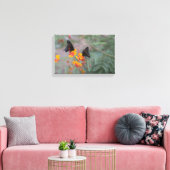 Die Fotografie-Leinwand von Blue Monarch Pair Butt Leinwanddruck (Insitu (Wohnzimmer))