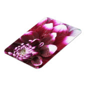 Die Fotografien der Dalhia-Blume mit den Magnet (Linke Seite)