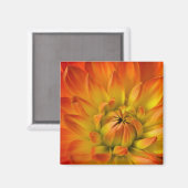Die Fotografien der Dalhia-Blume mit den Magnet (Vorderseite/Rückseite)