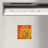 Die Fotografien der Dalhia-Blume mit den Magnet (In Situ (Geschirrspüler))