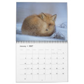 Die Fox Lover's Kalender (Jan 2027)