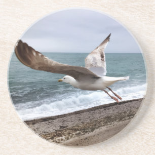 Die französische Möwe von Etretat Getränkeuntersetzer