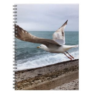 Die französische Möwe von Etretat Notizblock