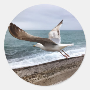 Die französische Möwe von Etretat Runder Aufkleber