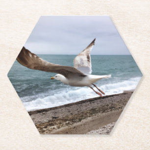 Die französische Möwe von Etretat Untersetzer