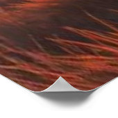 Die Frau aus der fernen Galaxie Poster (Ecke)