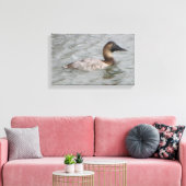 Die Frau Canvasback eine große Taucherente Leinwanddruck (Insitu (Wohnzimmer))