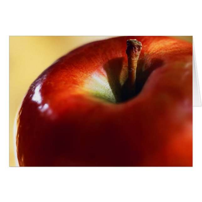 DIE FRAUENSUPREMAZ BEGANN MIT EVE (Vorderseite (Horizontal))