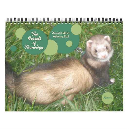Die Frettchen der Chanologie Kalender (Titelbild)