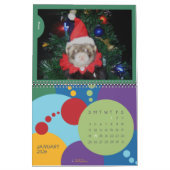 Die Frettchen der Chanologie Kalender (Jan 2026)