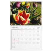 Die Freude an der Farbblumenfotografie Kalender (Feb 2027)