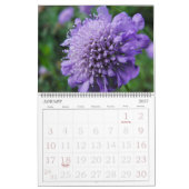 Die Freude an der Farbblumenfotografie Kalender (Jan 2027)