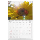 Die Freude an der Farbblumenfotografie Kalender (Mär 2027)