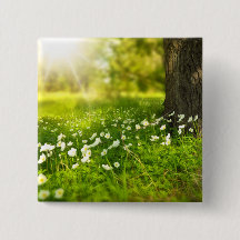 Die Freuden des Frühlings