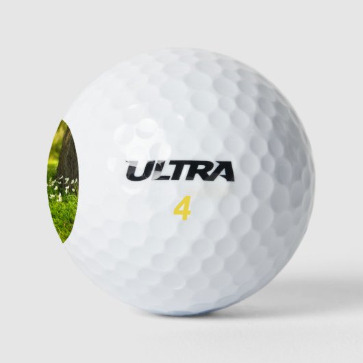 Die Freuden des Frühlings Golfball (Logo)
