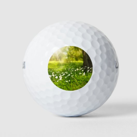 Die Freuden des Frühlings Golfball (Vorderseite)