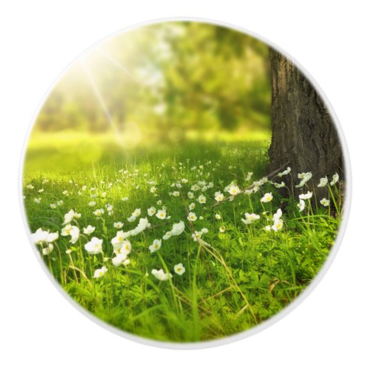 Die Freuden des Frühlings Keramikknauf (Vorderseite)