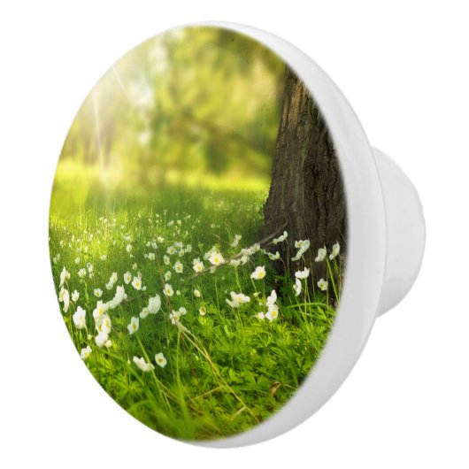 Die Freuden des Frühlings Keramikknauf (Rechts)