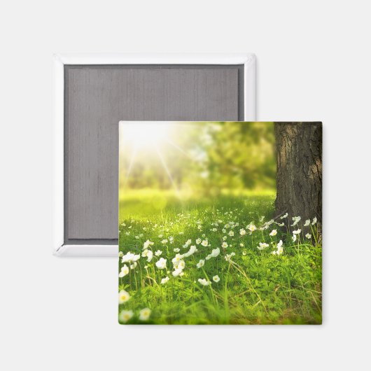 Die Freuden des Frühlings Magnet (Vorderseite/Rückseite)