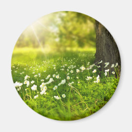 Die Freuden des Frühlings Magnet