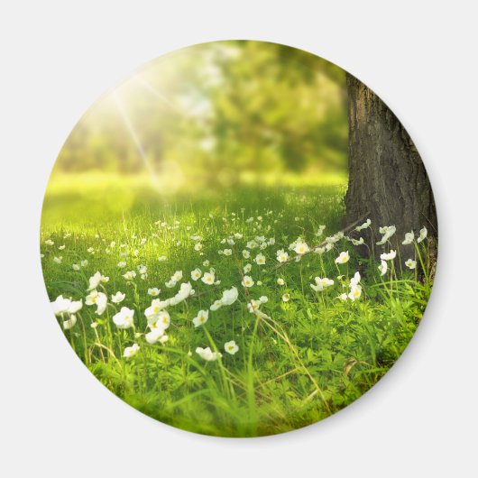 Die Freuden des Frühlings Magnet (Vorne)