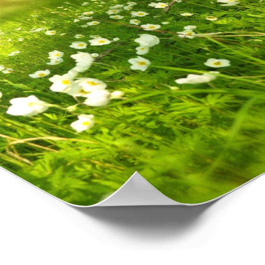 Die Freuden des Frühlings Poster (Ecke)